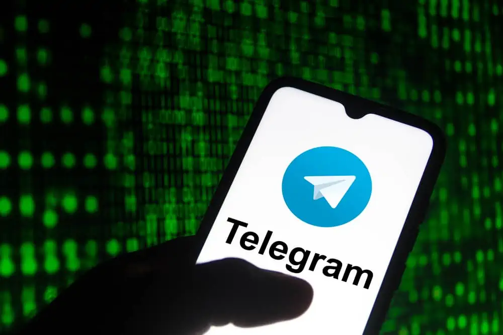 What Do the Check Marks in Telegram Mean?