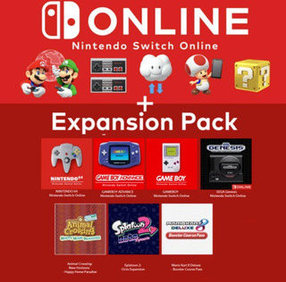 Expansion Pack, Nintendo