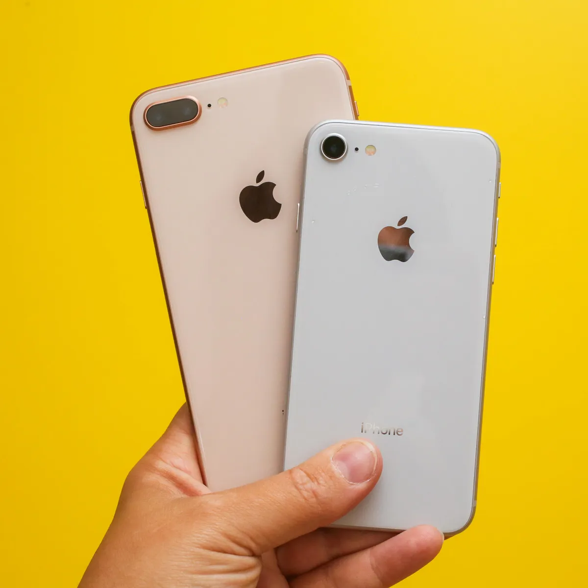 iPhone 8 vs. iPhone 8 Plus: The main differences between Apple's 2017 ...