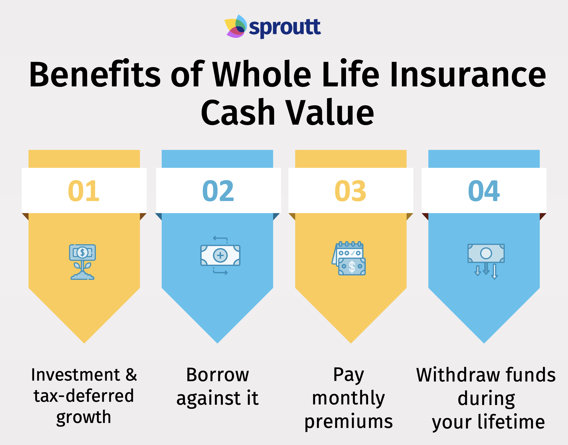 Cash Value Life Insurance Should You Buy It The Tech Edvocate