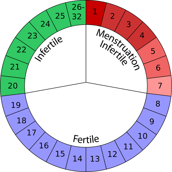 How To Calculate Days Past Ovulation The Tech Edvocate 7897