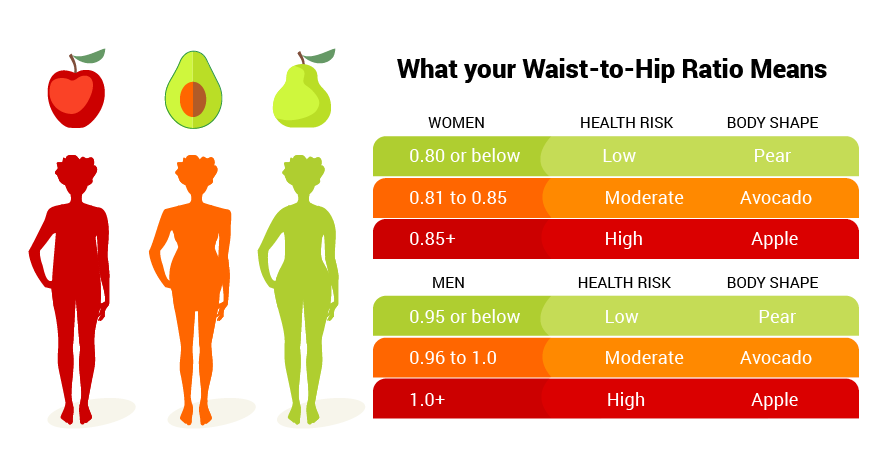 Waist-to-Hip Ratio: How To Measure It and Why It Matters