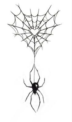 3 Ways to Draw a Spider Web - The Tech Edvocate
