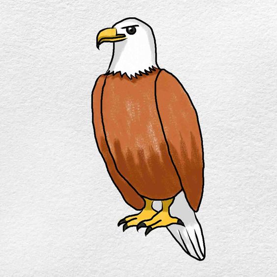 Eagle Coloring Pages - ColoringAll