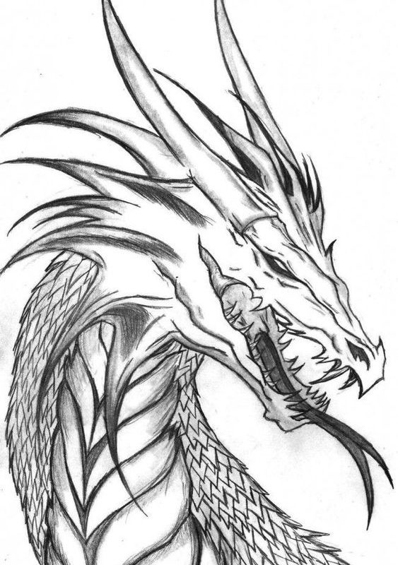 Dragon Drawing · Creative Fabrica