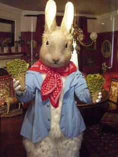 How to Field Dress a Rabbit - The Tech Edvocate