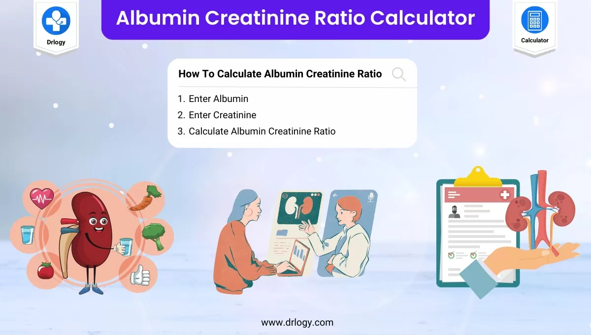 How to Calculate Albumin Creatinine Ratio A Comprehensive Guide The