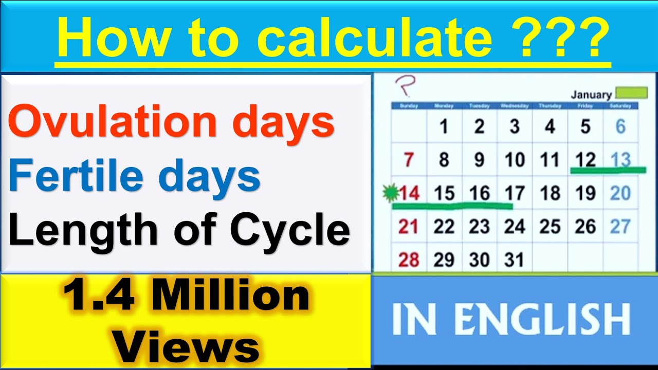 How To Calculate Ovulation Window The Tech Edvocate 8231