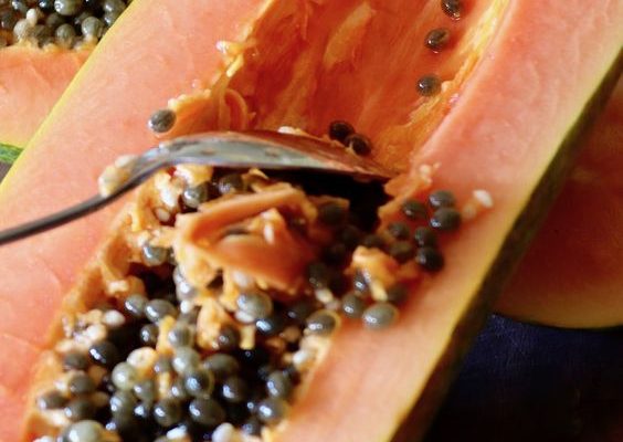 4 Ways to Eat Papayas - The Tech Edvocate
