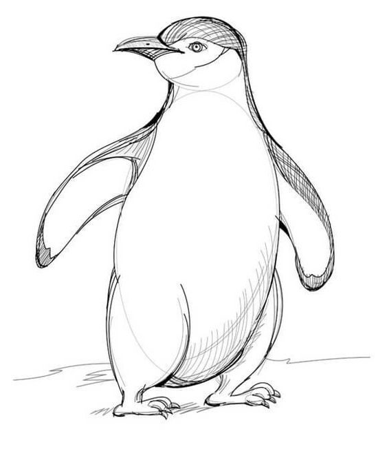 Simple cartoon icon. Vector illustration of Penguin cartoon for kids Stock  Vector Image & Art - Alamy
