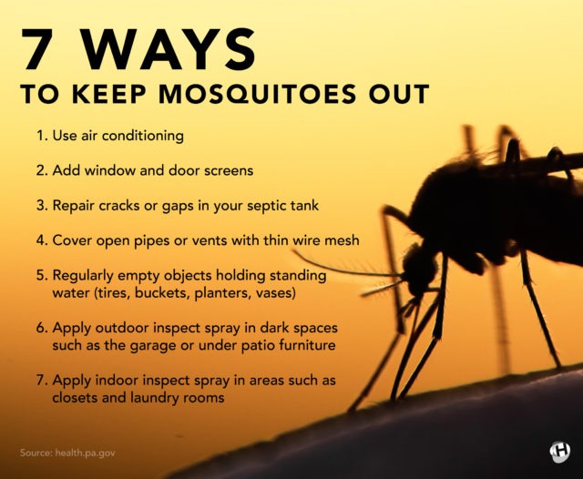 How To Avoid Mosquito Bites 15 Steps The Tech Edvocate