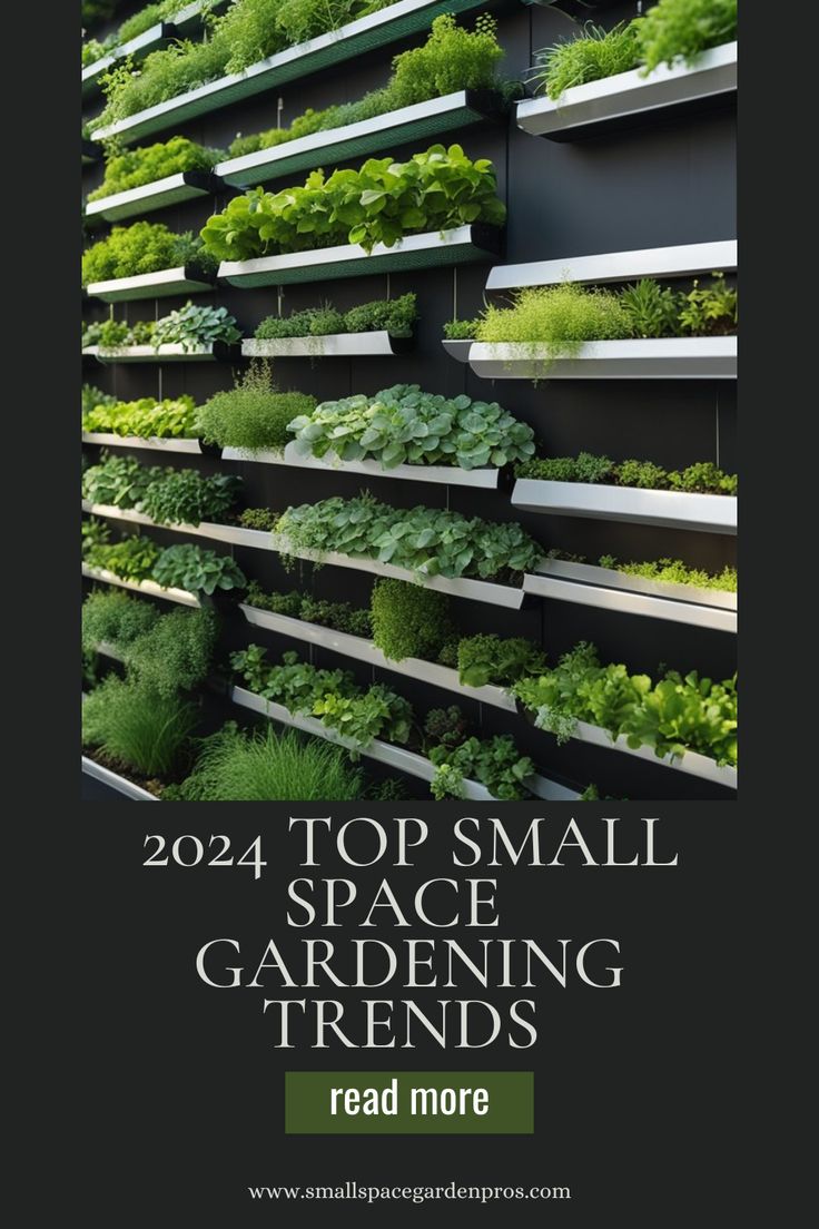 Gardening Trends 2024  A Look Into The Future Of Gardening 